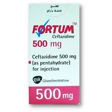 Fortum