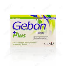 Gebon Plus