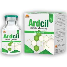 Ardcil