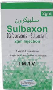 Sulbaxon