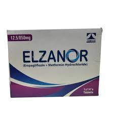 Elzanor
